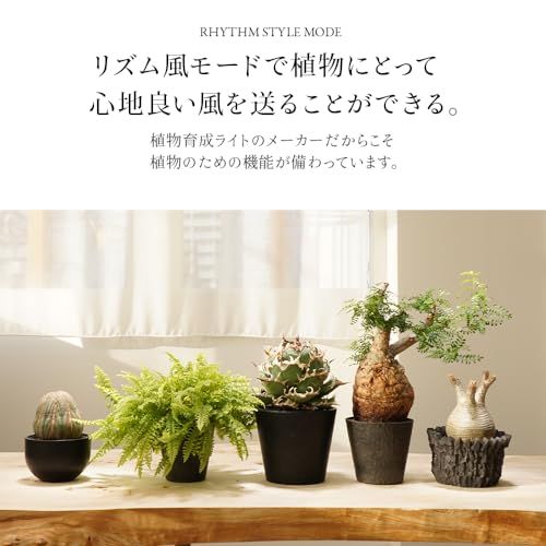 BARREL 【AECHMEA】(エクメア)ブラック 小型送風機 植物育成用as 8ef1065a BARREL 【AECHMEA】(エクメア)ブラック 小型送風機 植物育成用as 8ef1065a