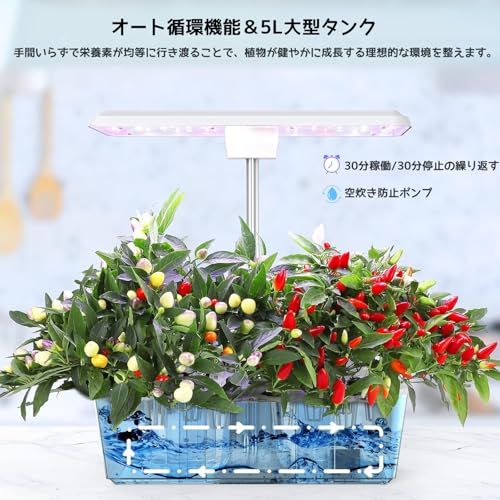 水耕栽培キット 室内 水耕栽培 おしゃれ 家庭菜園 キット LEDライト付き 自動水循環システム搭載 高さ調節可能 IGS-20SE ホワイトas 1b6ffe02 水耕栽培キット 室内 水耕栽培 おしゃれ 家庭菜園 キット LEDライト付き 自動水循環システム搭載 高さ調節可能 IGS-20SE ホワイトas 1b6ffe02
