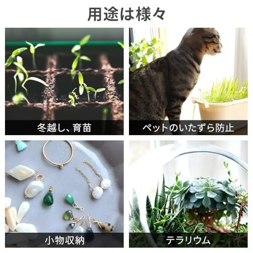 life_mart 卓上温室 【 ガラス製 小型 窓付き 】 ミニ温室 おしゃれ 室内用 家庭用 ガラスケース アンティーク 透明 ガーデン テラリウム 多肉植物 観葉植物 花 小物収納 インテリア ガーデニング 玄関 卓上 ディスプレイas 05e80d35