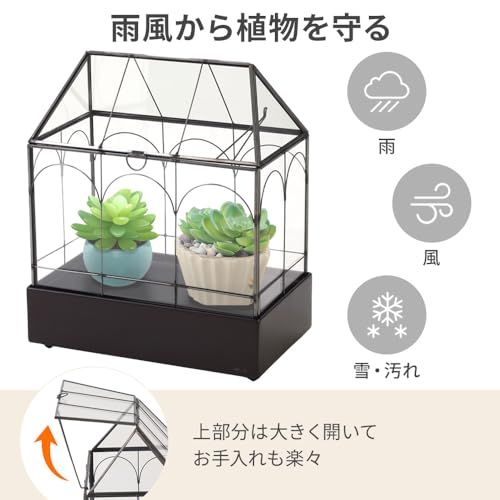 life_mart 卓上温室 【 ガラス製 小型 窓付き 】 ミニ温室 おしゃれ 室内用 家庭用 ガラスケース アンティーク 透明 ガーデン テラリウム 多肉植物 観葉植物 花 小物収納 インテリア ガーデニング 玄関 卓上 ディスプレイas 05e80d35