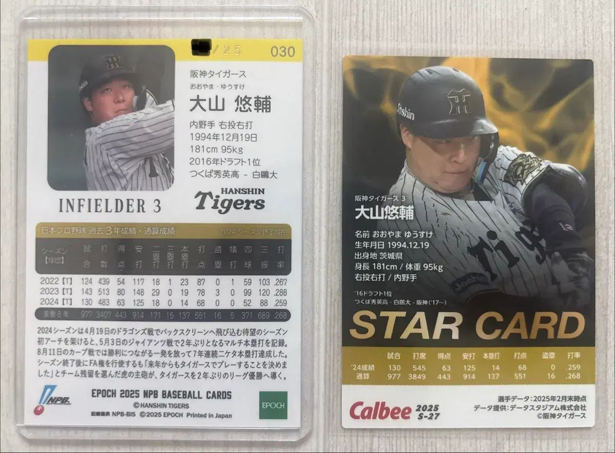 NPB ハンシン タイガース 野球 カード NPB ハンシン タイガース 野球 カード