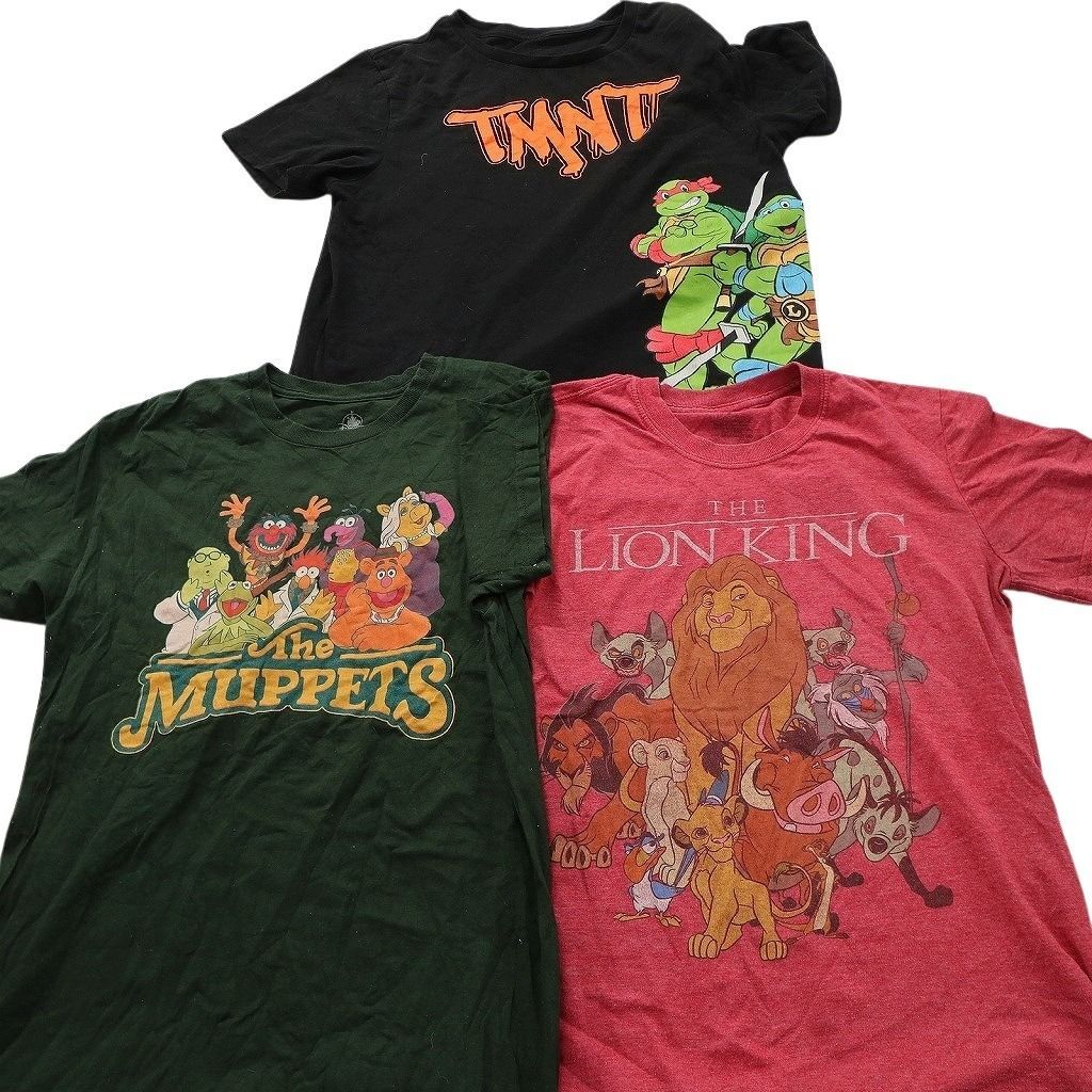 古着卸 まとめ売り キャラクター Tシャツ 14枚セット ( メンズ S ) ディズニー ミッキー タートルズ マーベル ナルト 中古 古着 NE8948 古着卸 まとめ売り キャラクター Tシャツ 14枚セット ( メンズ S ) ディズニー ミッキー タートルズ マーベル ナルト 中古 古着 NE8948