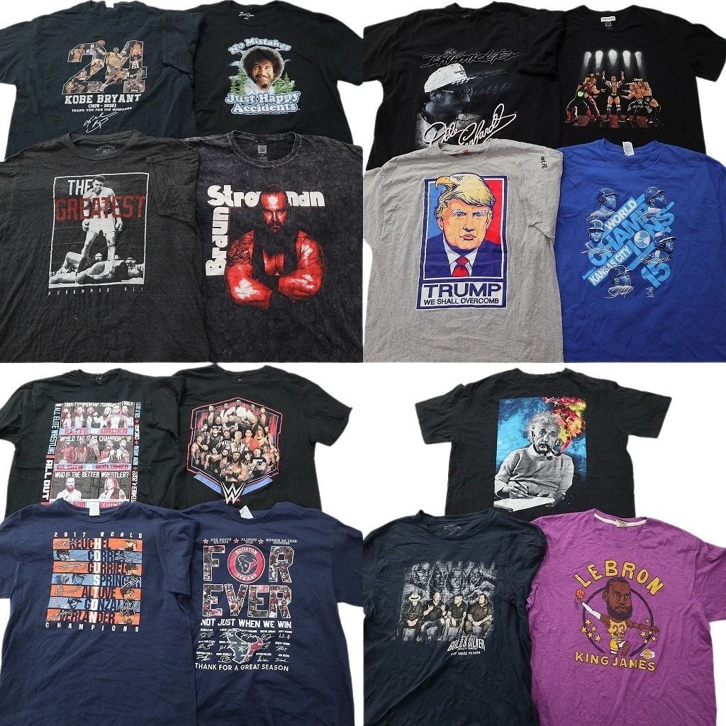 古着卸 まとめ売り 人物 Tシャツ 15枚セット ( メンズ XL/2XL/3XL ) NBA レブロンジェームズ ドナルドトランプ 中古 古着 NE8981