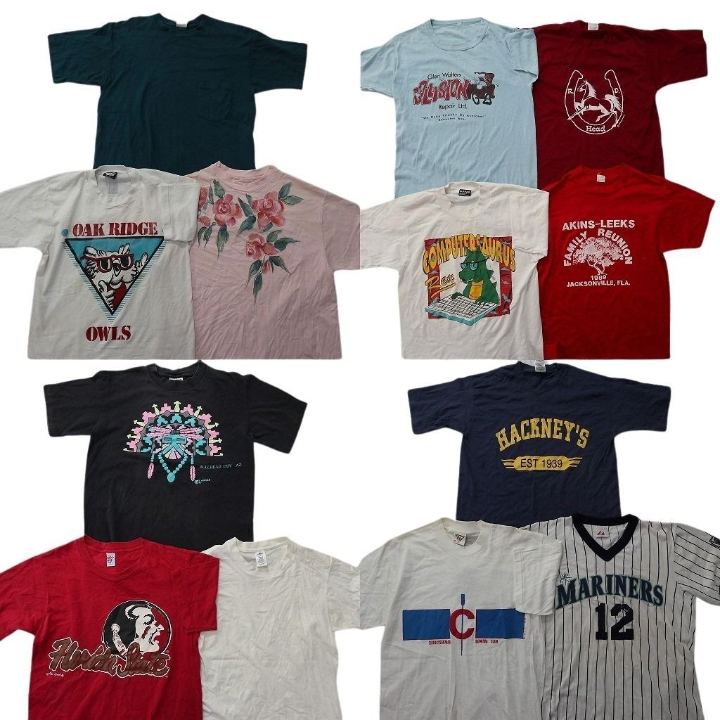 古着卸 まとめ売り ヴィンテージ シングルステッチ Tシャツ 13枚セット ( メンズ S/M ) フルーツオブザルーム GAP 中古 古着 NE9021
