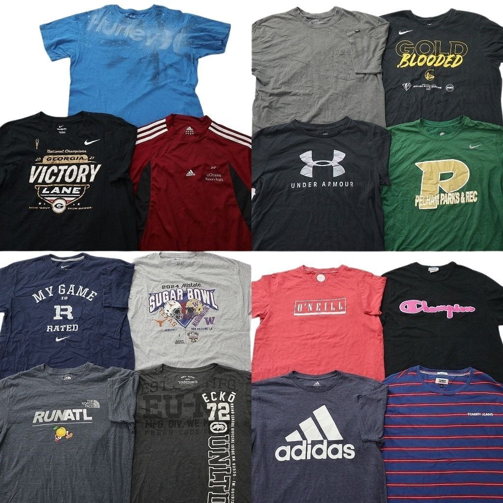 古着卸 まとめ売り ブランドMIX Tシャツ 15枚セット ( メンズ L ) ノースフェイス ディッキーズ トミー ナイキ 中古 古着 NE9037