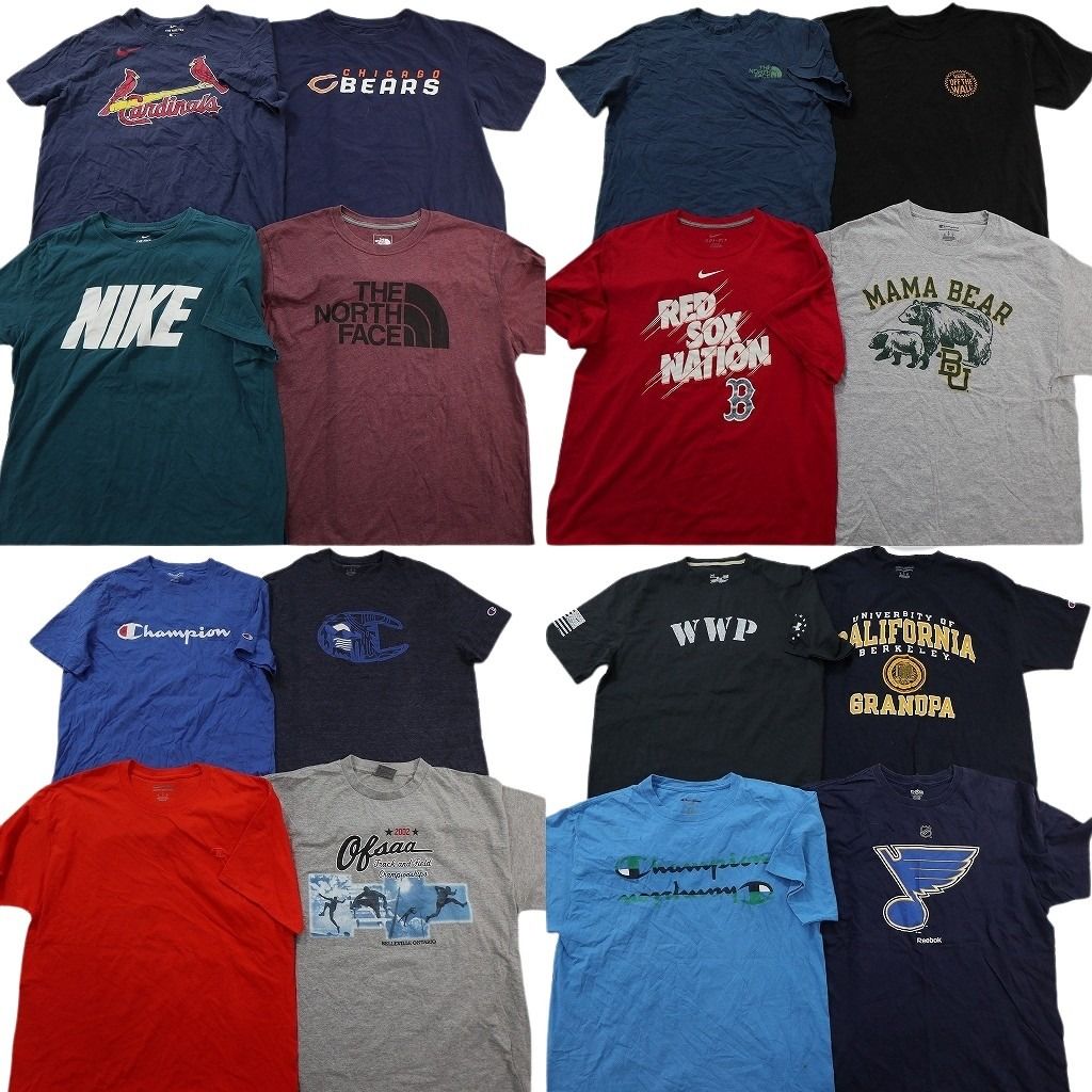 古着卸 まとめ売り ブランドMIX Tシャツ 16枚セット ( メンズ L ) ノースフェイス ナイキ チャンピオン リーボック 中古 古着 NE9042