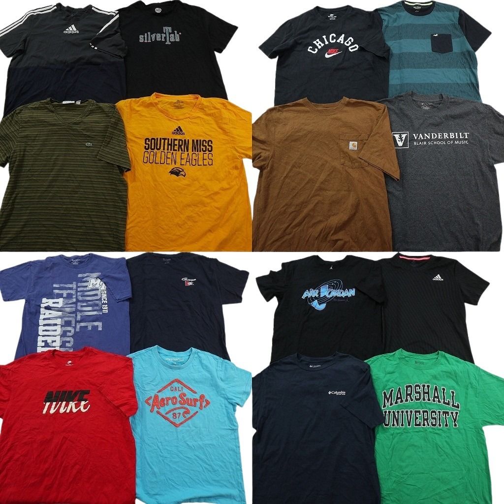古着卸 まとめ売り ブランドMIX Tシャツ 16枚セット ( メンズ L ) カーハート コロンビア ジョーダン リーバイス 中古 古着 NE9060