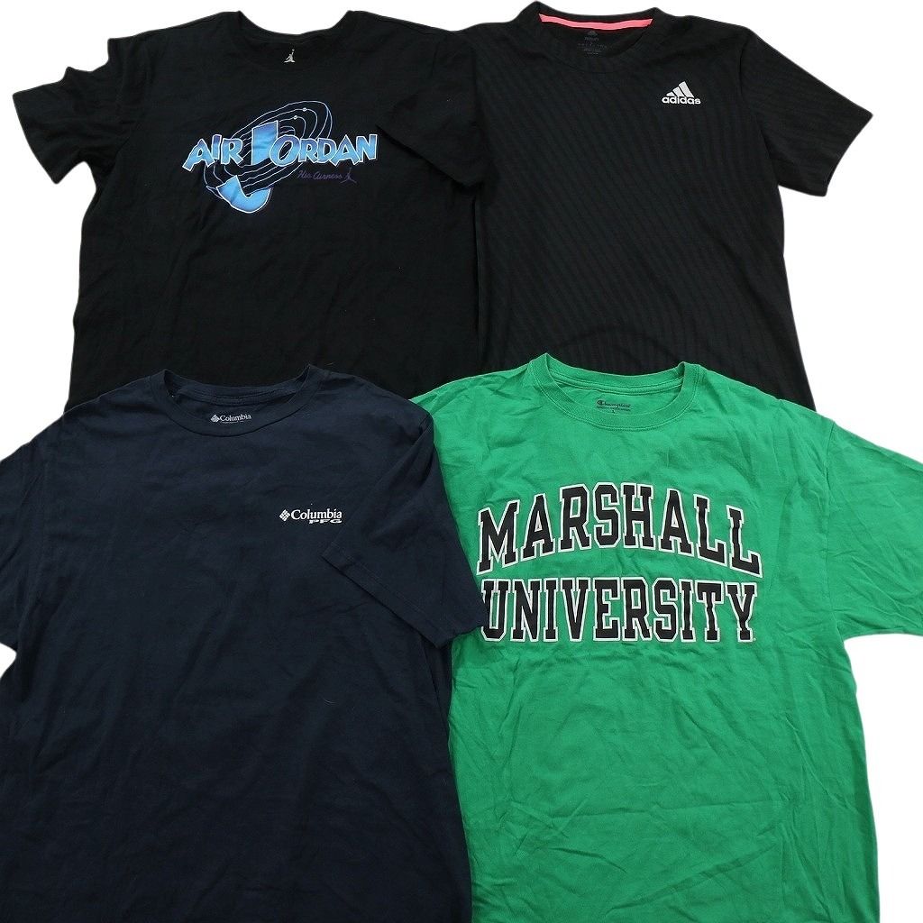 古着卸 まとめ売り ブランドMIX Tシャツ 16枚セット ( メンズ L ) カーハート コロンビア ジョーダン リーバイス 中古 古着 NE9060