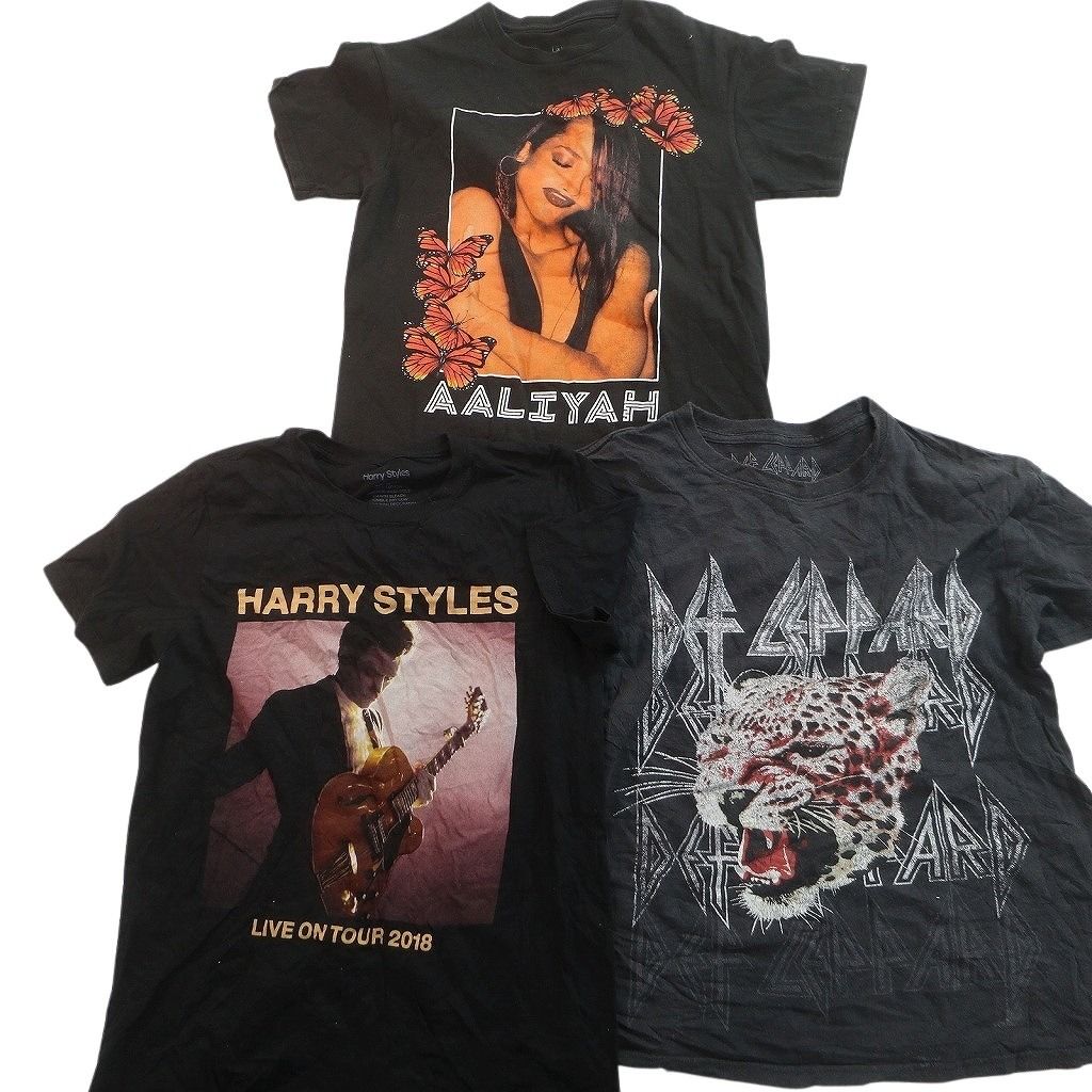 古着卸 まとめ売り 音楽・バンド Tシャツ 14枚セット ( メンズ S ) サブライム デフレパード ニルヴァーナ 中古 古着 NE9065