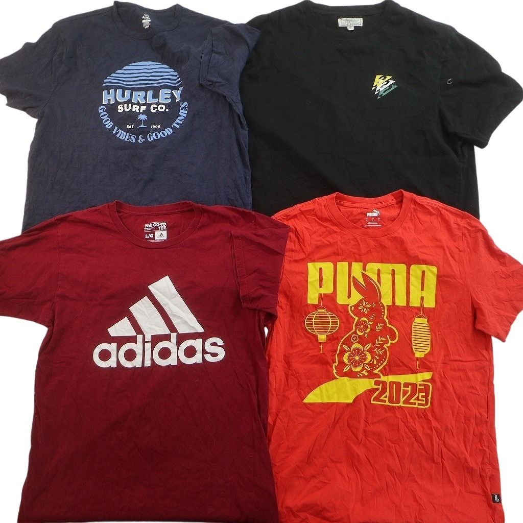 古着卸 まとめ売り ブランドMIX Tシャツ 16枚セット ( メンズ L ) コロンビア ナイキ チャンピオン アディダス 中古 古着 NE9076