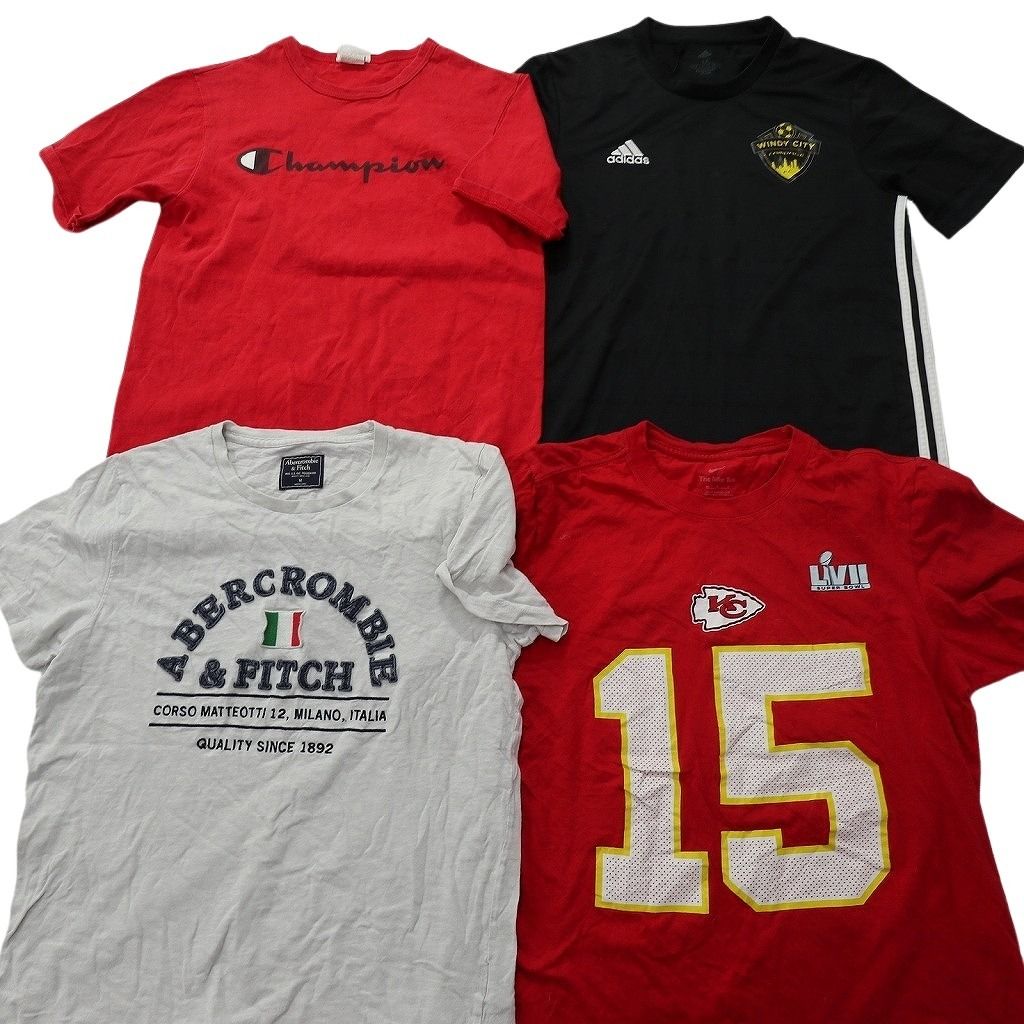 古着卸 まとめ売り ブランドMIX Tシャツ 15枚セット ( メンズ M ) カーハート ジョーダン ナイキ エルエルビーン 中古 古着 NE9090