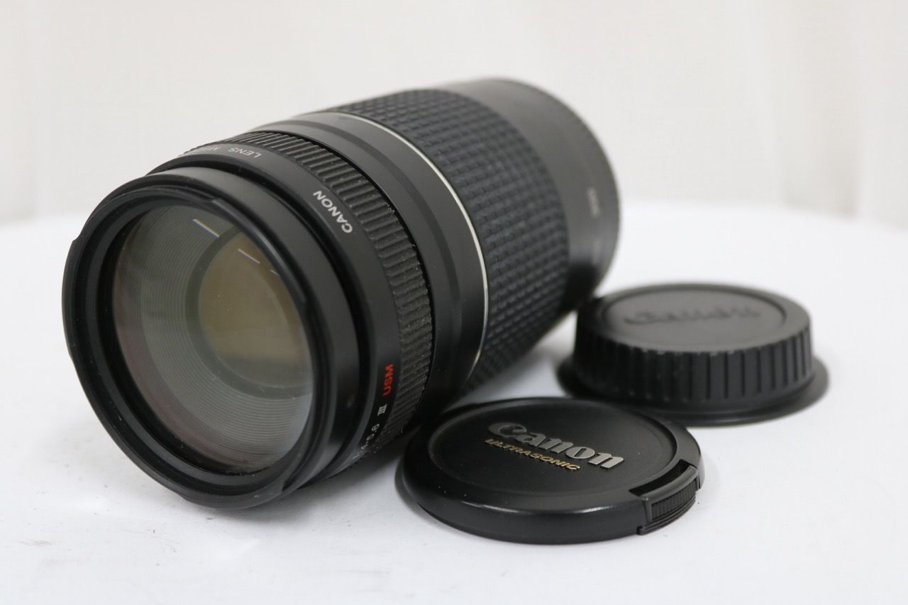 【返品保証】 キャノン Canon EF 75-300mm F4-5.6 III USM 前後キャップ付き レンズ e12435