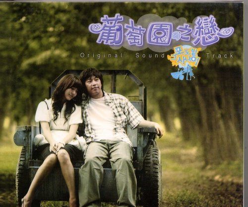 【CD】ぶどう畑のあの男 韓国ドラマOST (CD+DVD)(台湾盤)
