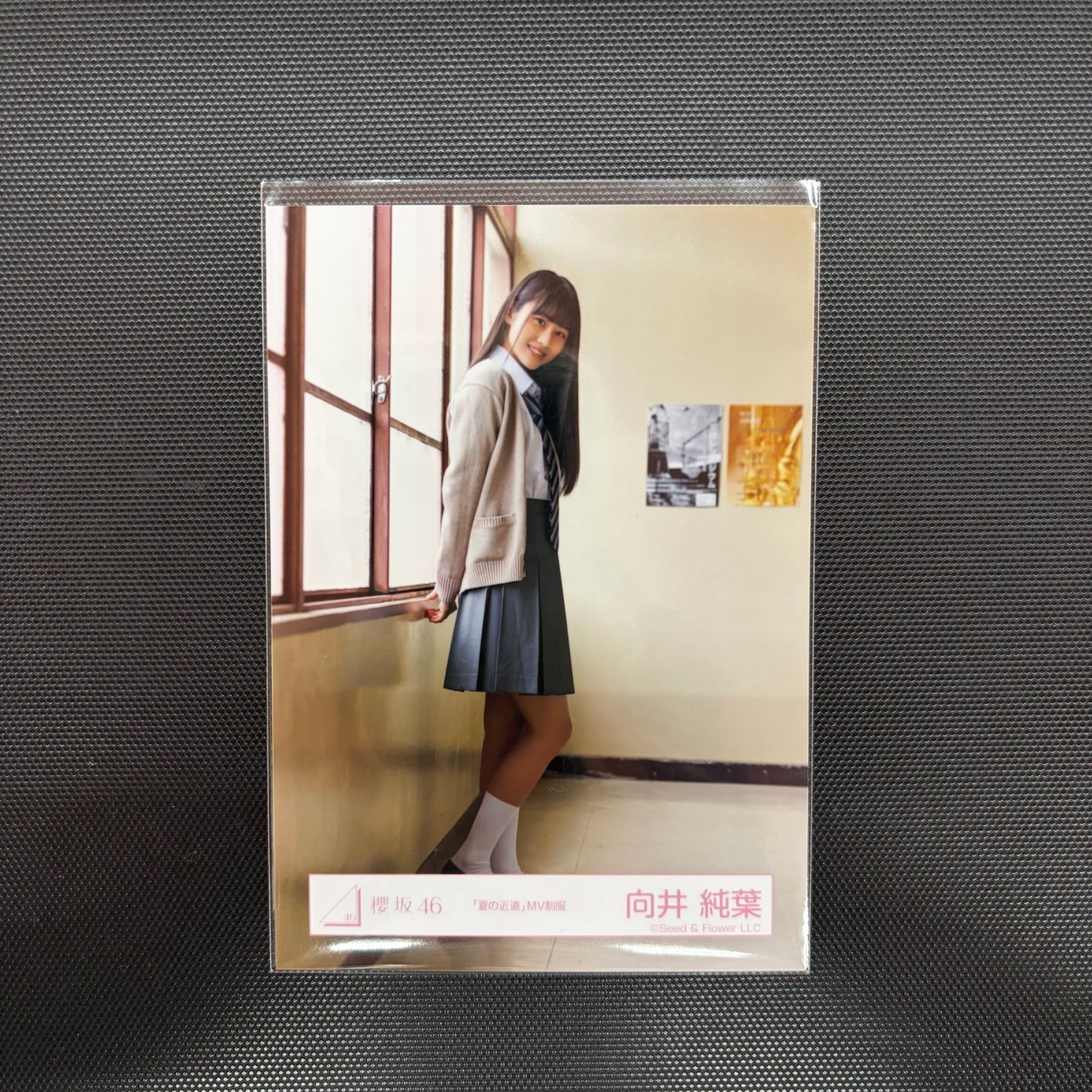 向井純葉「夏の近道」MV制服 コンプ 【A00077-005】143 - メルカリ