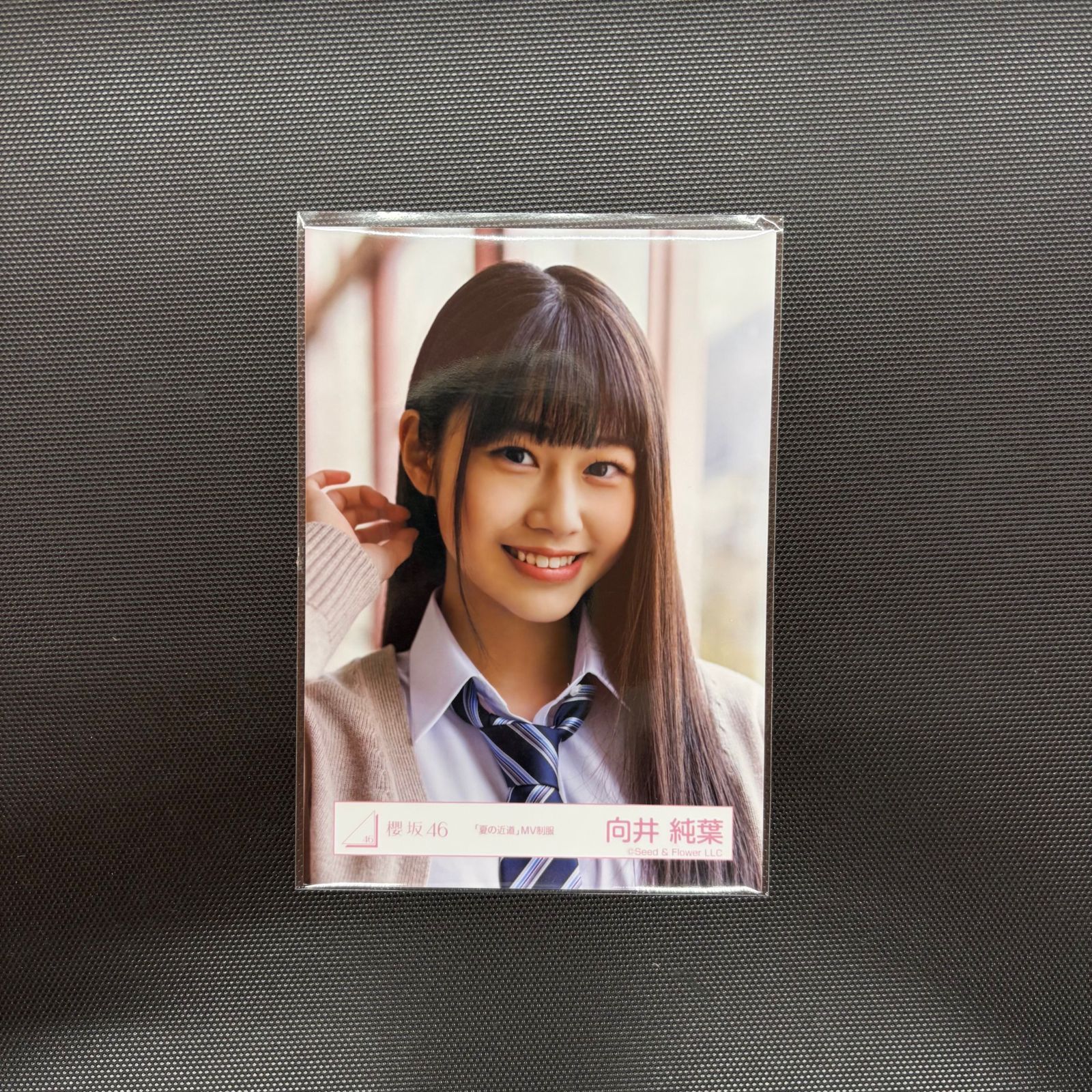 向井純葉「夏の近道」MV制服 コンプ 【A00077-005】143 - メルカリ