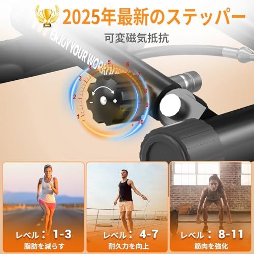 ステッパー 2025アップグレード版】 CHAOKE ステッパー ツイスト 