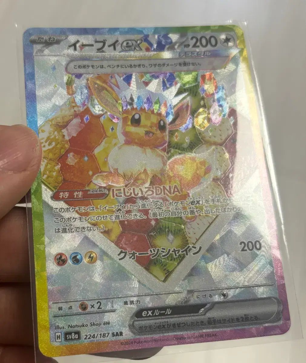 ポケモンカード テラスタル イーブイ SAR 一般版