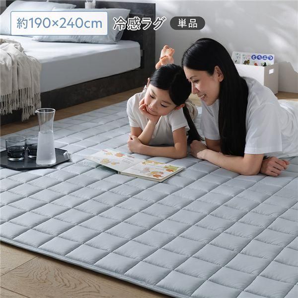 冷感 ラグ 単品 約190×240cm クールグレー 洗える 抗菌 消臭性 ラグマット 絨毯 フロアマット ラグカーペット マット