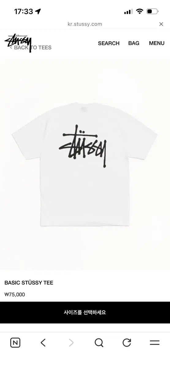 STUSSY ベーシック 半袖