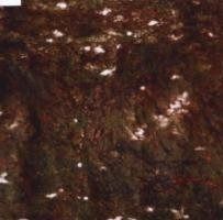 【CD】Aula
