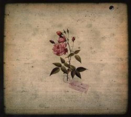 【CD】In the Pines