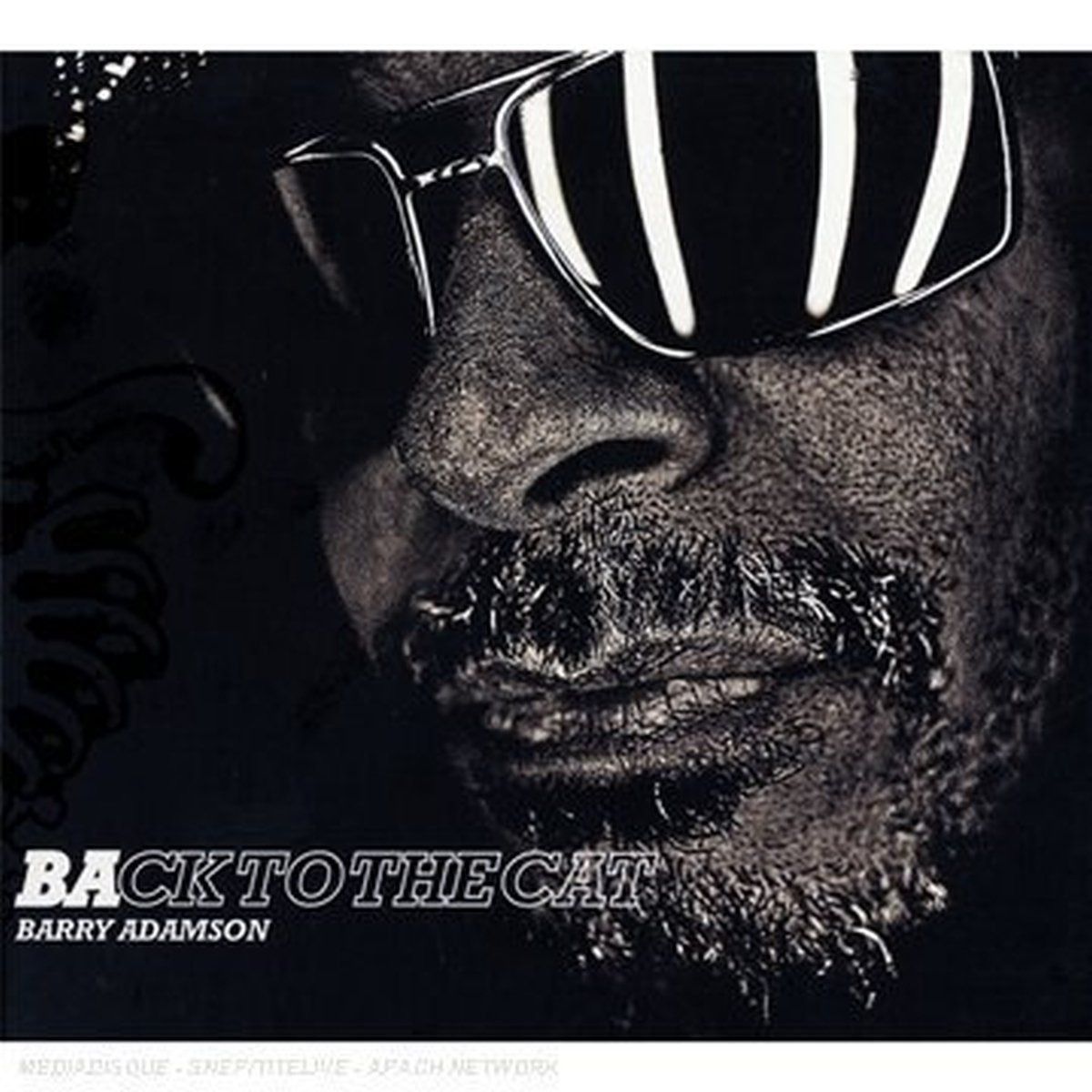 【CD】Back to the Cat (Dig)
