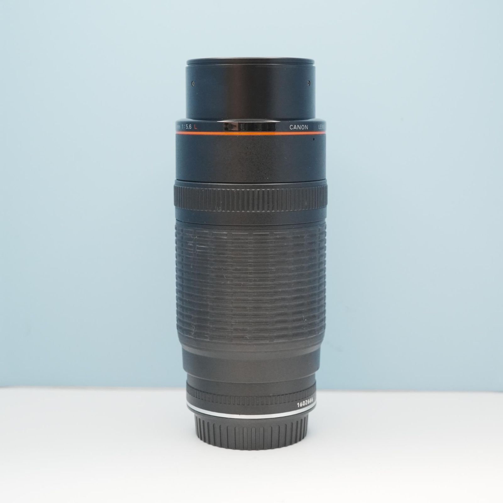 Canon純正 100-300mm F5.6 L 望遠レンズ a6600 - メルカリ