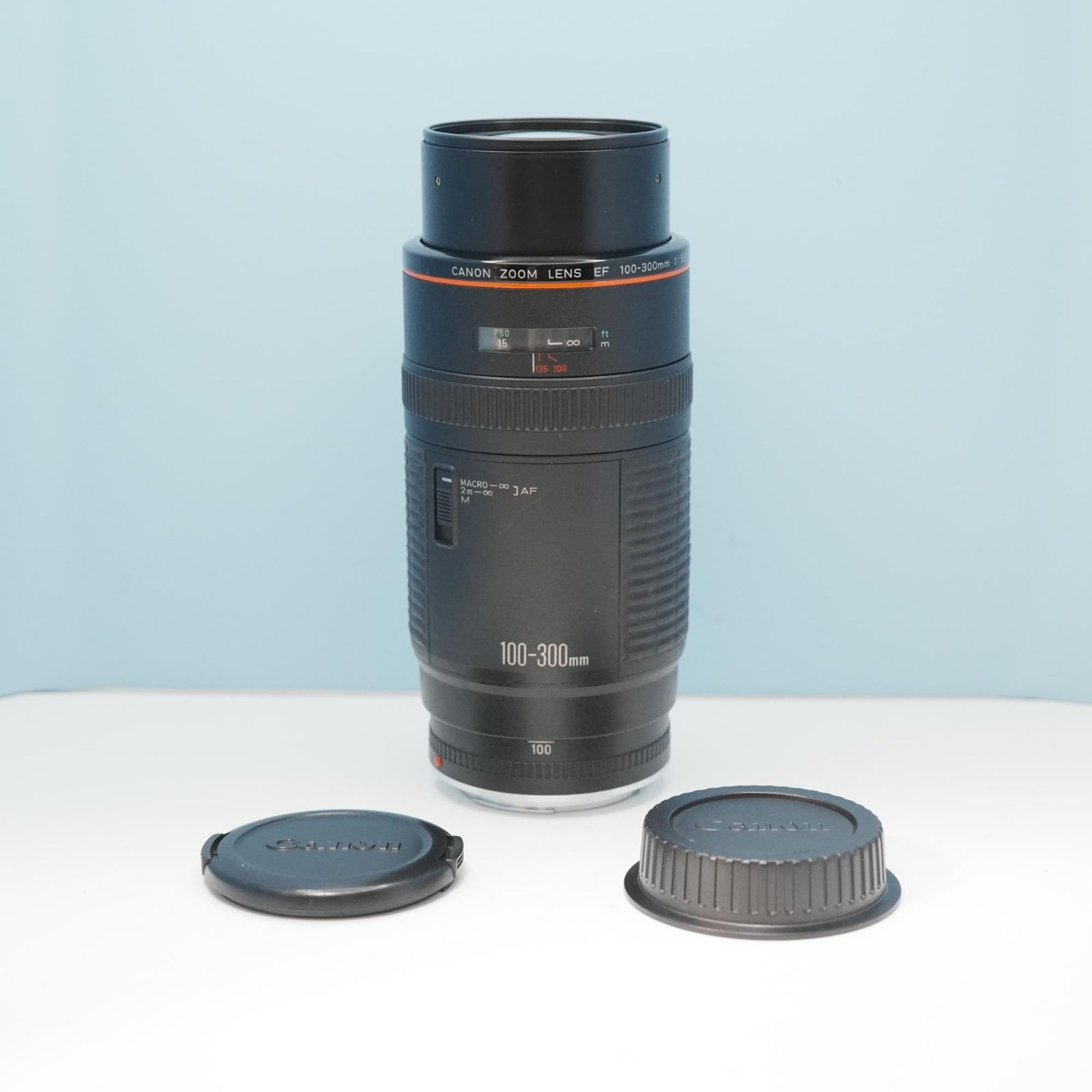 Canon純正 100-300mm F5.6 L 望遠レンズ a6600 - メルカリ