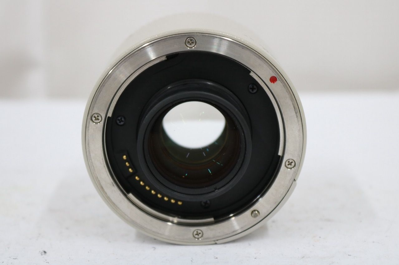 【返品保証】 キャノン Canon Extender EF 2x エクステンダー e13016