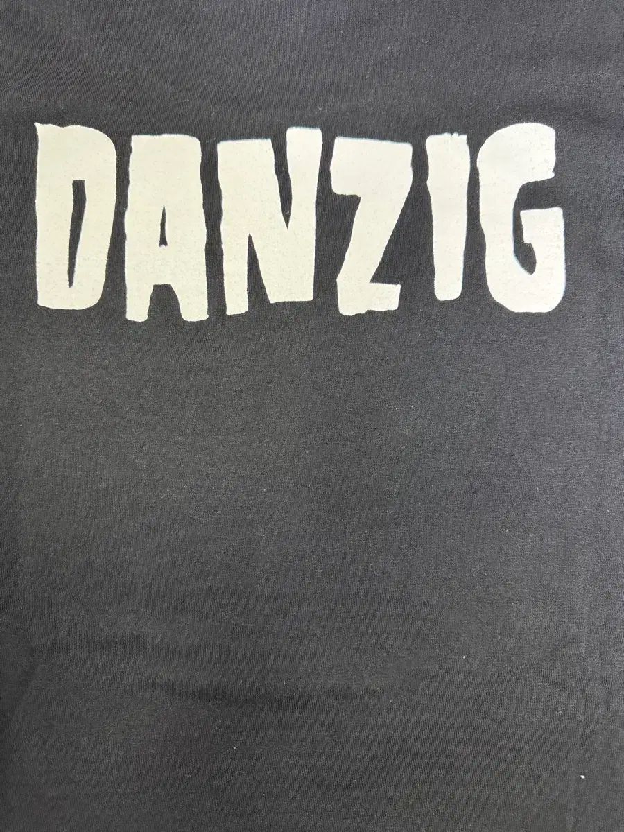 ヴィンテージ 00s ダンジグ DANZIG バンドTシャツ L ヴィンテージ 00s ダンジグ DANZIG バンドTシャツ L