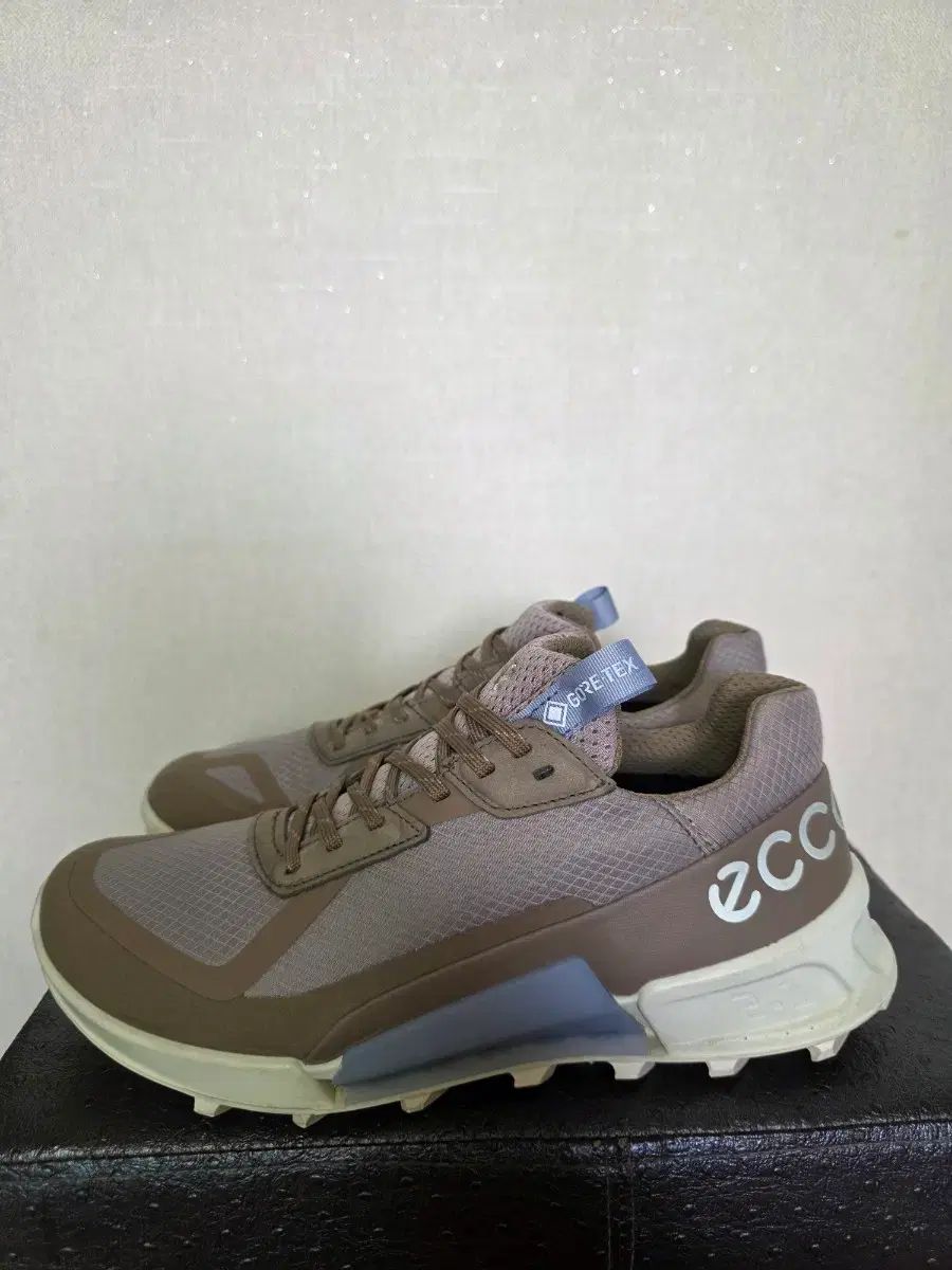 エコー ECCO BIOM 2 1 ゴアテックス トレッキングシューズ