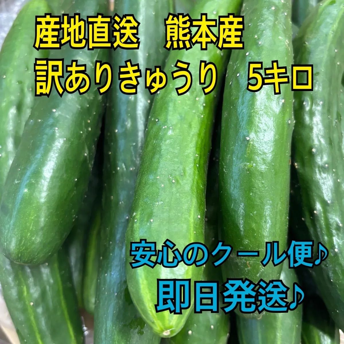 訳アリきゅうり 5kg 熊本産 クール便 - メルカリ