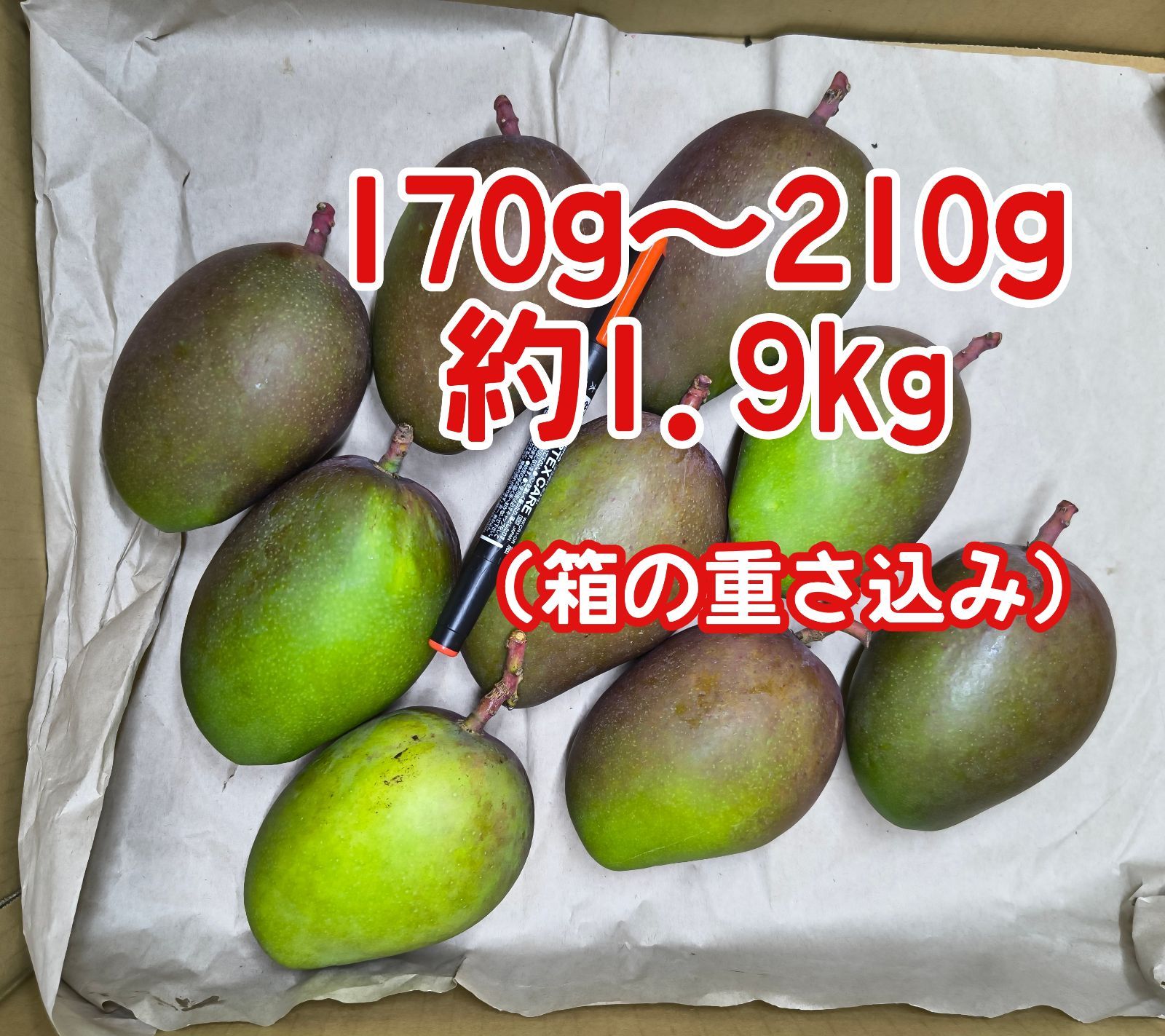 摘果マンゴー 未熟マンゴー 加工用マンゴー グリーン/ 約1.9㎏〈170