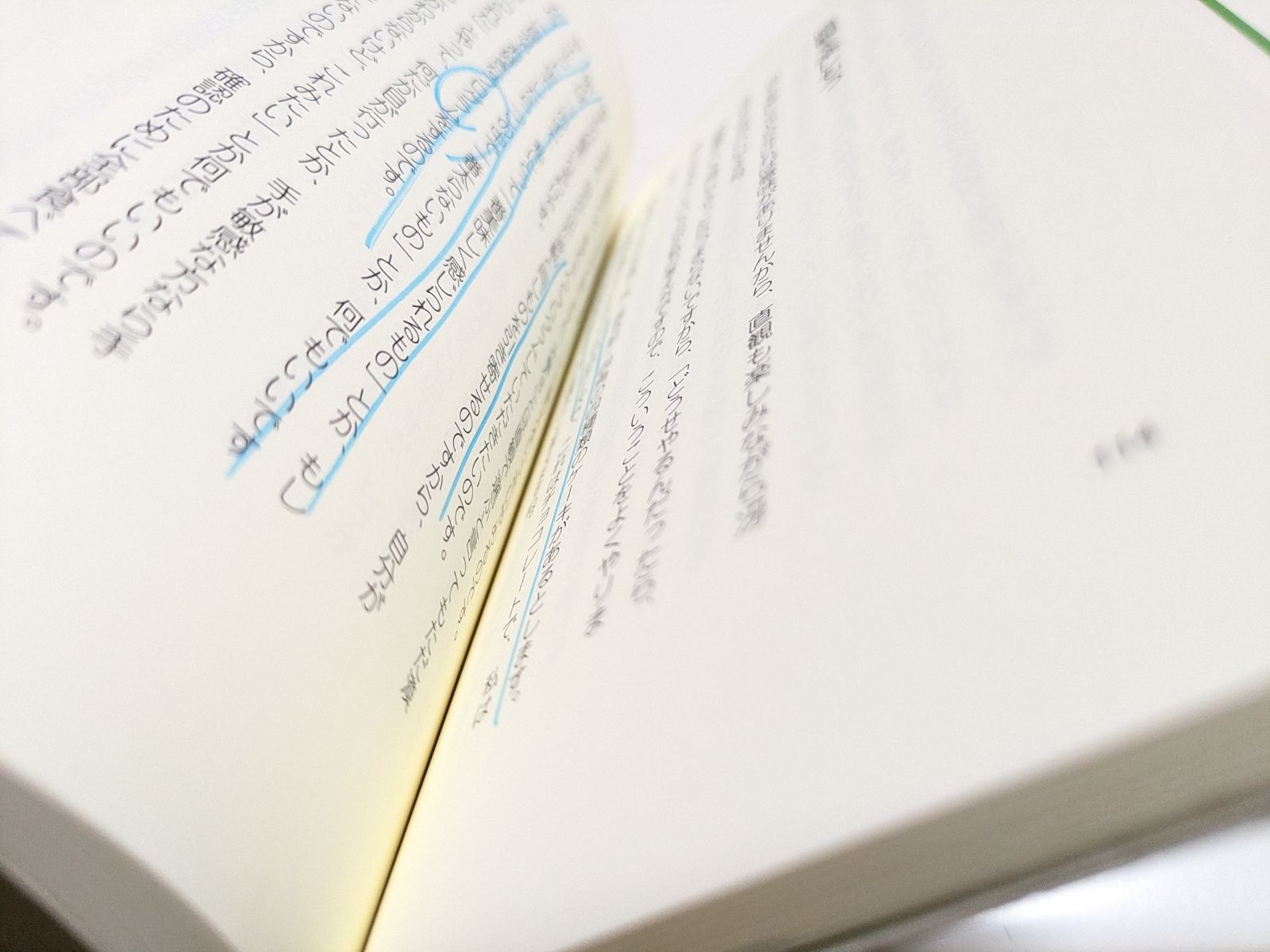 あるがままに生きる 足立幸子 ※書き込みあり 形態波動エネルギー研究所