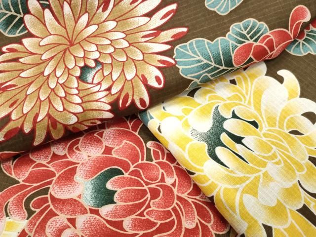 平和屋着物∴夏物　綿紅梅　浴衣　菊花文　綿　逸品　CABG4044gh
