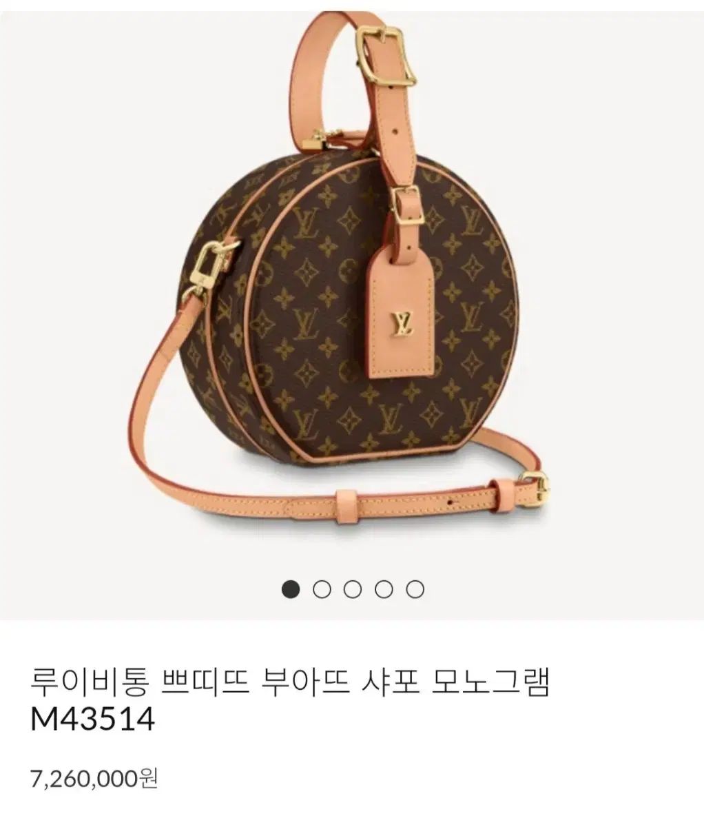 Louis Vuitton モノグラム プチ バケット シャ ポチュール 出品します (タンバリンバッグ)