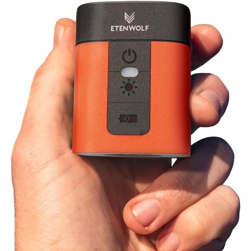 ETENWOLF AIR 3 携帯式エアーポンプ 強力な360L/分電動空気入れ 2600mAhバッテリー付き、エアマットレスや真空バッグ、浮き輪の空気入れ・空気抜きに対応e 567de8c4