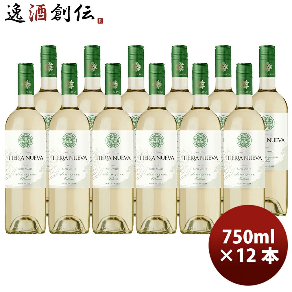 チリ ティエラ ヌエバ トラディション ソーヴィニヨン ブラン 750ml × 1ケース / 12本 白・辛口 春 お祝い バレンタイン プレゼント