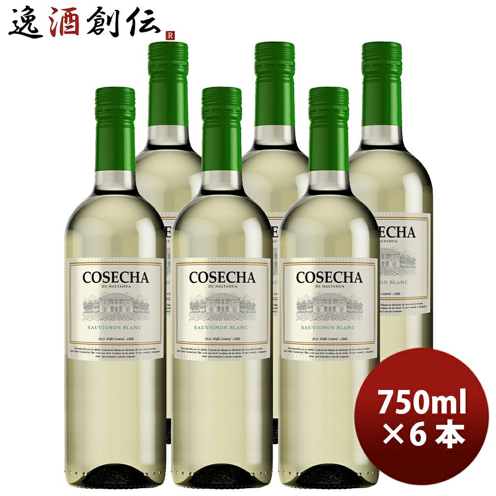 チリ コセチャ ソーヴィニヨンブラン 750ml 6本 白ワイン・辛口 父の日 ギフト