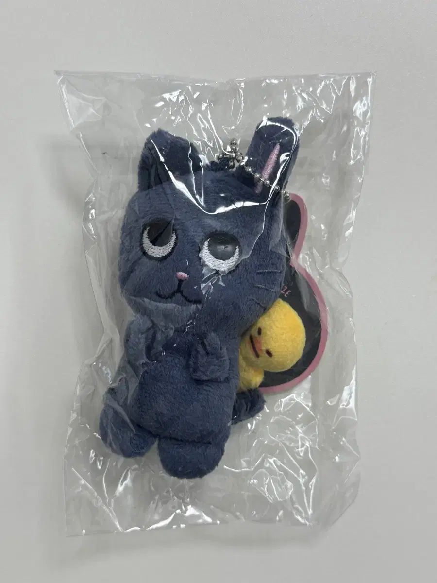 未開封 RIIZE（ライズ）＆LEE（リー） トゥー にゃんダック 1期 ぬいぐるみ 10cm RIIZE（ライズ） ウォンビン(WONBIN)
