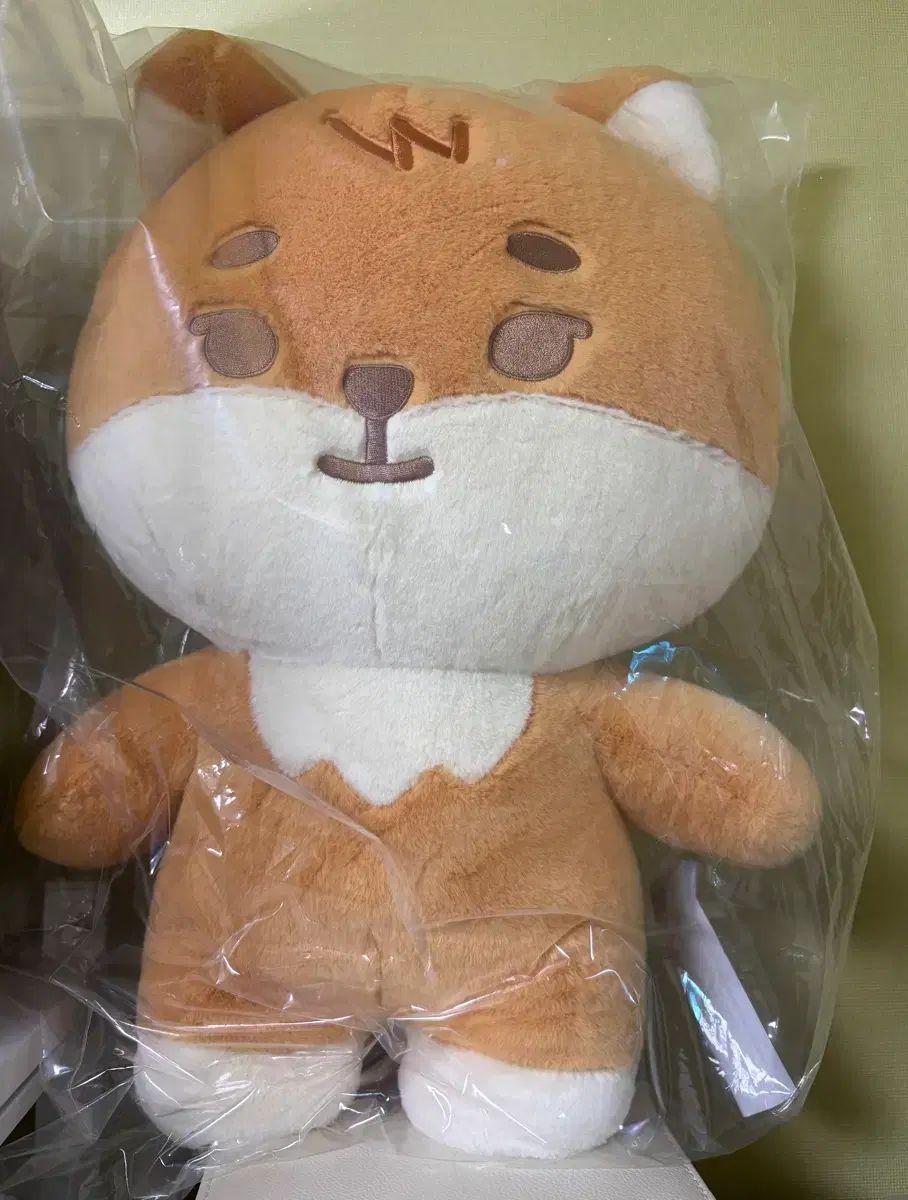 ジャプマル ケ 出品