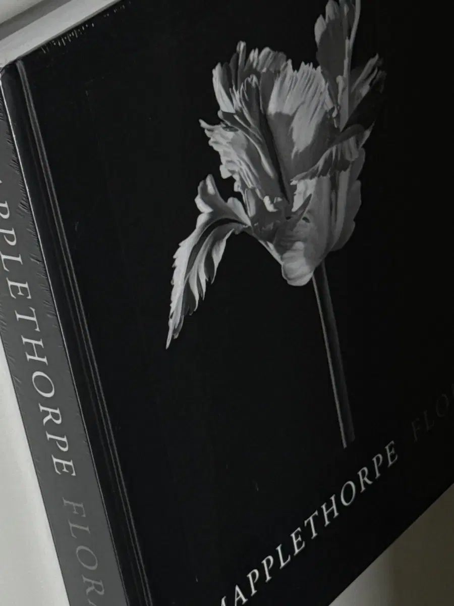 未開封 / MAPPLETHORPE ロバート メイプルソープ フローラ 写真集