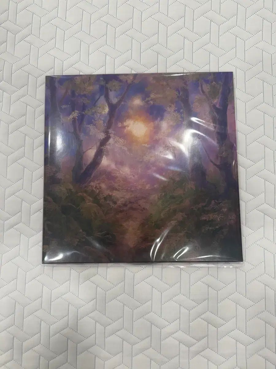 miiro (迷路) 季節犯罪 lp