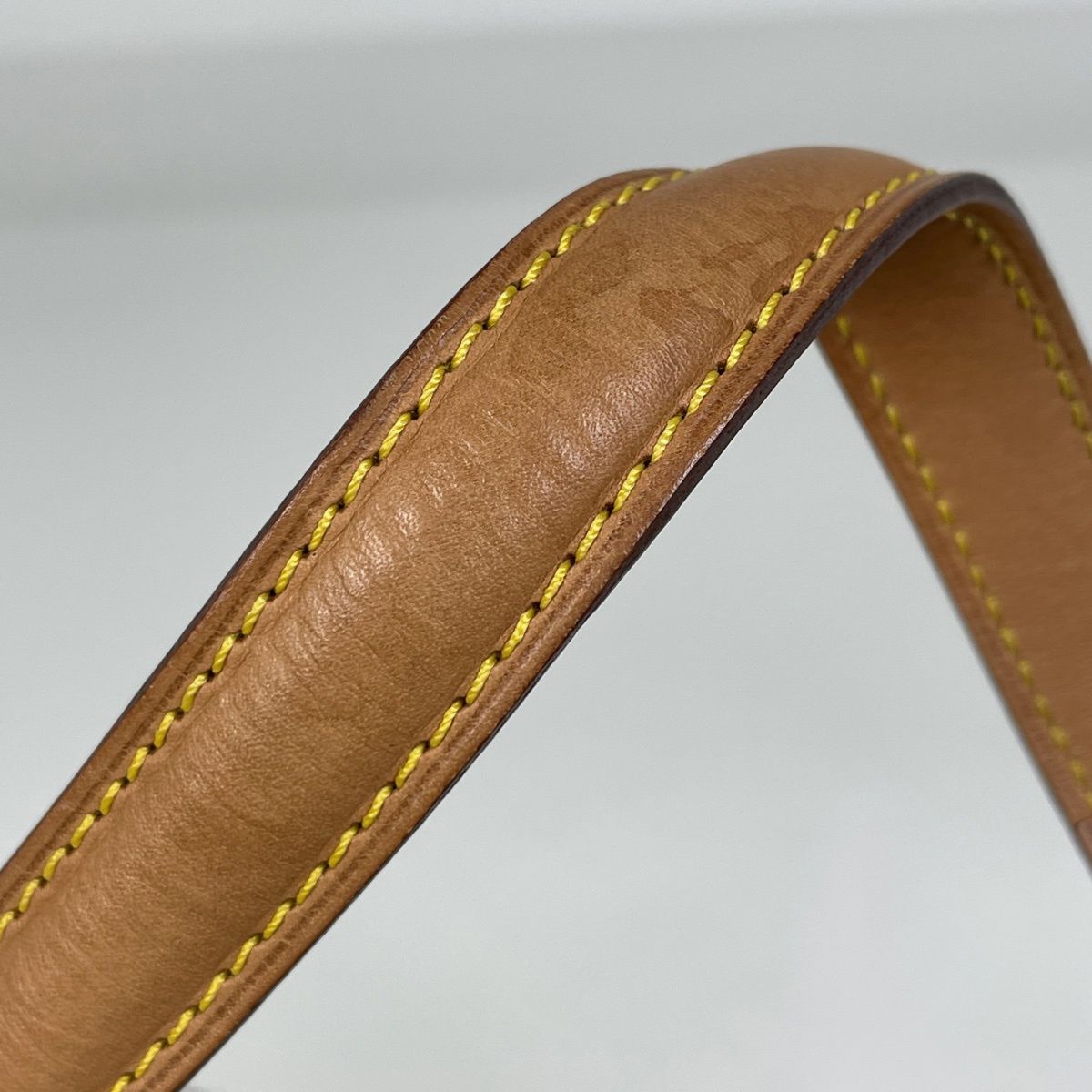 ルイ・ヴィトン Louis Vuitton エクサントリ シテ ハンドバッグ