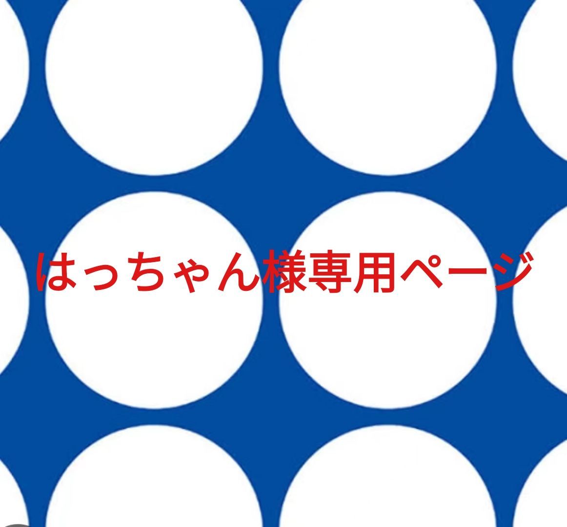 はっちゃん様専用ページです。