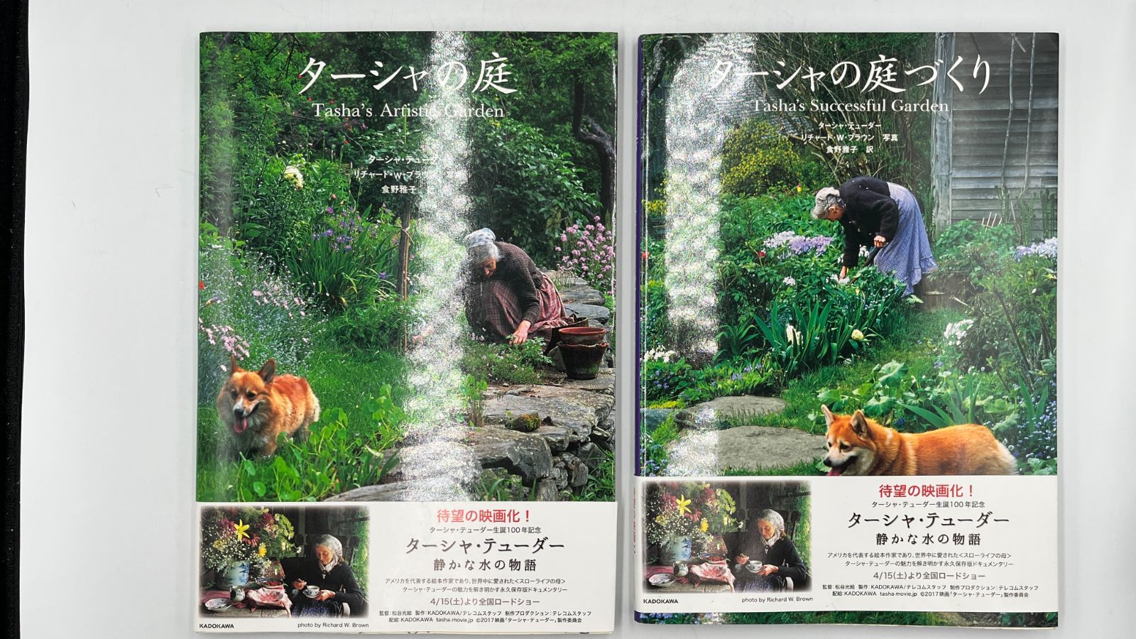 朝倉未来 強者理論ガチャ 直筆サインカード-楽天スーパーポイント