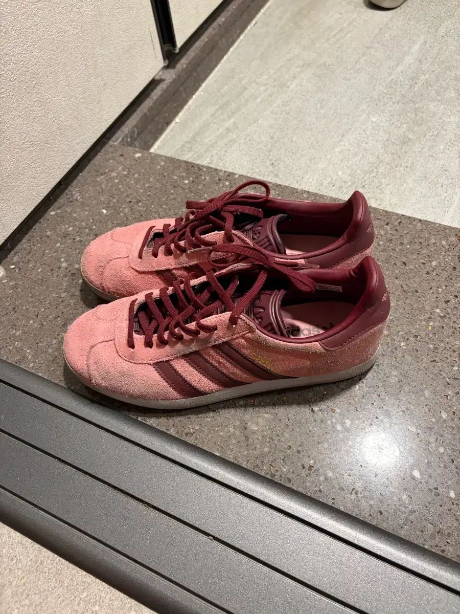 アディダス ガゼル 260
