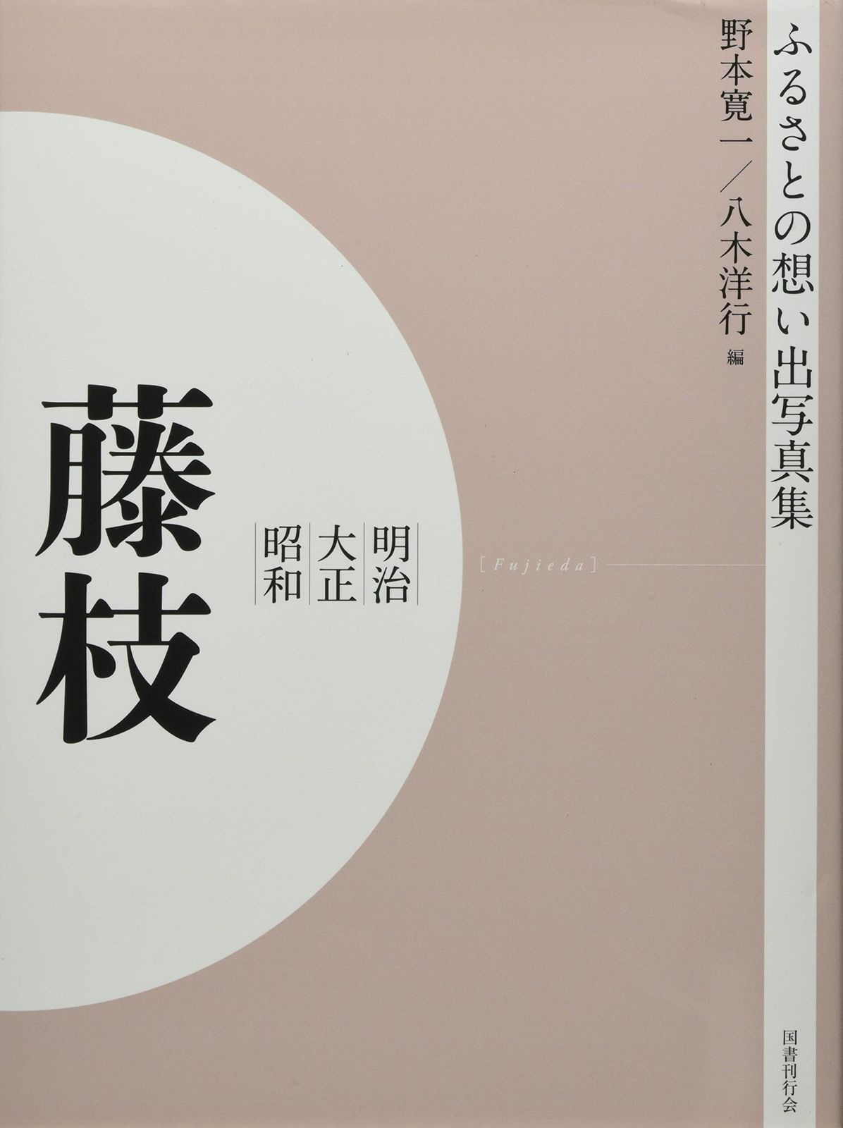 ふるさとの想い出写真集 明治大正昭和 藤枝 オンデマンド版