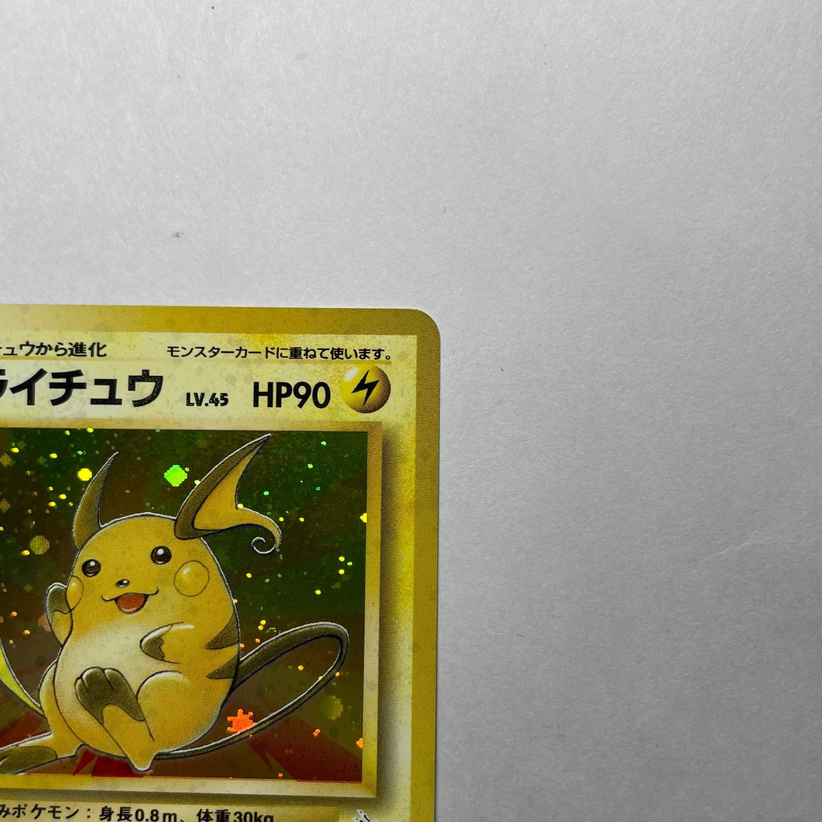 ライチュウ　化石の秘密　Raichu　Fossil ライチュウ 化石の秘密 Raichu Fossil ライチュウ 化石の秘密 Raichu