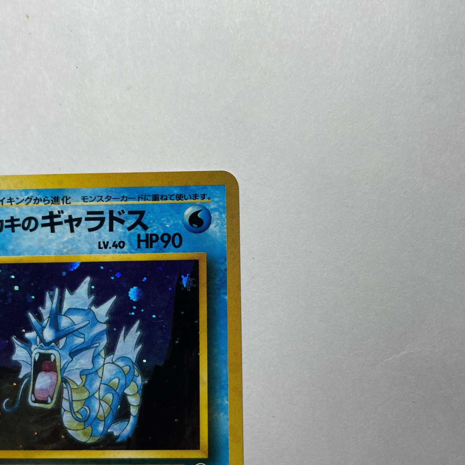 サカキのギャラドス ジムチャレンジ Giovanni's Gyarados Gym